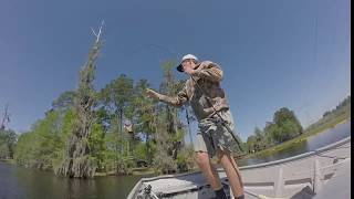 Bass Fishing in Louisiana [upl. by Ahsinrad]