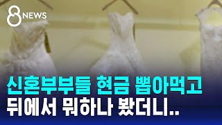 신혼부부들 현금 뽑아먹고 뒤에서 뭐하나 봤더니  SBS 8뉴스 [upl. by Trainer]