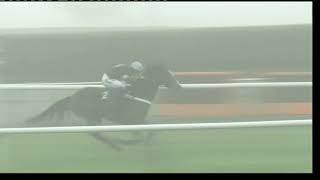 2009 Cheltenham Collection Novice Chase [upl. by Mot]