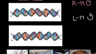 How to recognize LeftHanded and RightHanded DNA [upl. by Hayashi507]