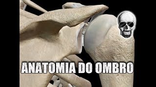 ANATOMIA do OMBRO e SÍNDROME DO IMPACTO  Anatomia Humana [upl. by Nahsed196]