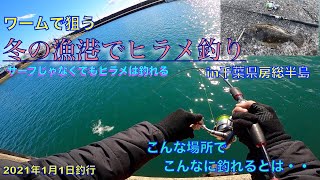 新年のおだやかな漁港でワームで釣りしたらまさかの大物爆釣だった話【2021年千葉県の冬の釣り】 [upl. by Leirea]