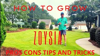 Zoysia  Pros Cons Tips and Tricks [upl. by Assen]