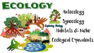 principles of ecology hierarchy habitatsampniche ecology Equivalents Autecology and Synecology [upl. by Nicram341]