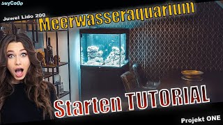 Start Meerwasseraquarium Anfänger  Die ersten Schritte  Mein XXL Aquarium [upl. by Wernsman]