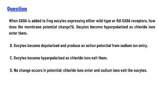 quotWhen GABA is added to frog oocytes expressing either wildtype or Rdl GABA receptors [upl. by Ayikin]