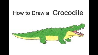 How to Draw a Crocodile  Alligator Cartoon [upl. by Meeks]