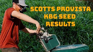 NEW Lawn SEEDING  Scotts Pro Vista Kentucky Bluegrass Seed RESULTS after 1 YEAR [upl. by Darline638]