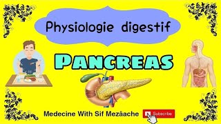 4 Le Pancréas Exocrine  Physiologie 2éme Med [upl. by Esilehs]