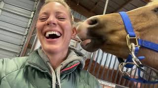 Stable Relationship Horse Nuzzles Owners Ear [upl. by Gnak]