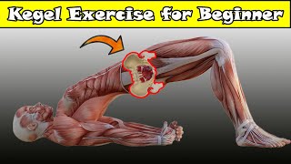 Kegel Exercise Beginner Step By Step [upl. by Andrel617]