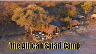 The African Safari Camp and Nature View 🌿🐘 [upl. by Reyaht14]