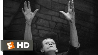 Frankenstein 38 Movie CLIP  Meet the Monster 1931 HD [upl. by Elleyoj]