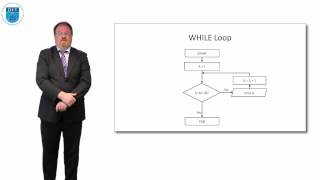 Pseudocode Iteration WHILE loops [upl. by Renelle]