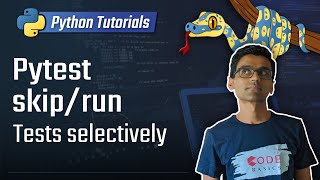 Python unit testing  skipselectively run tests in pytest [upl. by Aimahs586]