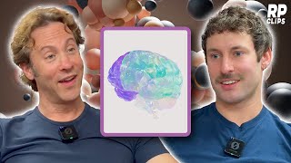 What Is Intelligence  David Eagleman [upl. by Solracesoj]