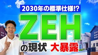 【大暴露】本当にお得なの？『ZEH』の現状と課題を徹底解説！ [upl. by Dulciana]