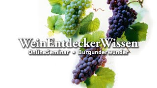 Burgunderwunder – WeinEntdeckerWissen OnlineSeminar [upl. by Mallina]