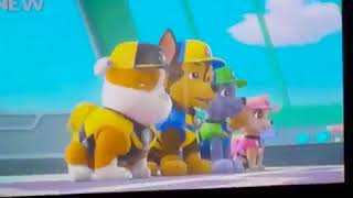 PAW Patrol Beach amp Ocean Rescues 🌊  30 Minute Compilation  Nick Jr [upl. by Fleisig]