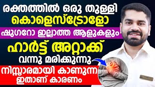 ഹാർട്ട് അറ്റാക്ക് വരാനുള്ള കാരണങ്ങൾ CAUSES OF HEART ATTACK [upl. by Nuavahs]