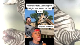 Animal Secrets Zoos Don’t Want You To Know [upl. by Penrod]