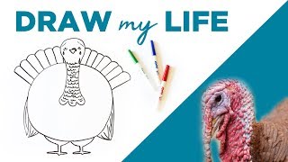 Draw My Life 🦃 A Thanksgiving Turkey in Todays World [upl. by Lobiv]