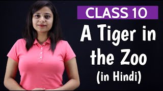 A Tiger in the Zoo Class 10  in Hindi  word meaning question answers and poetic devices [upl. by Anayhd267]