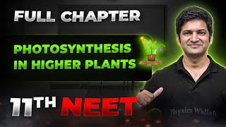 Photosynthesis in Higher Plants FULL CHAPTER  Class 11th Botany  Arjuna NEET [upl. by Adnwahsor]