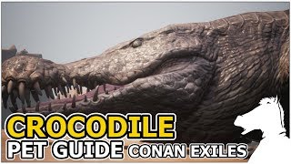 CROCODILE  Pets Guide  CONAN EXILES [upl. by Juliette]