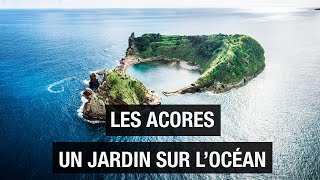 Açores  Le jardin dEden de lAtlantique  îles volcaniques  Documentaire voyage  AMP [upl. by Annayrb379]