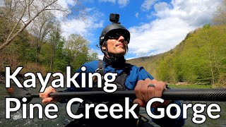 Kayaking 18 Miles Through the Pine Creek Gorge PA Grand Canyon [upl. by Adamsen]