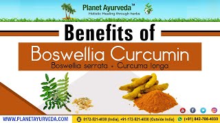 Benefits of Boswellia Boswellia serrata  Curcumin Curcuma longa [upl. by Ule]