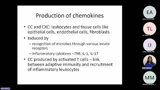 Abbas Chapter 3 Leukocyte Circulation and Migration into Tissues Raje [upl. by Ahtar]