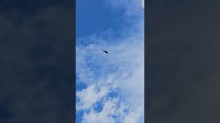 Spotted a few helicopters going over Colorado Springs blackhawkhelicopter helicopter [upl. by Dorothee]