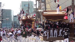 令和5年 岸和田だんじり祭 宵宮午前曳行菊右衛門橋Kishiwada Danjiri Matsuri2023916 [upl. by Aceissej]