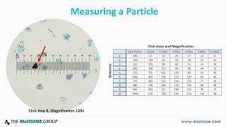 How to Calibrate Your Microscope [upl. by Warford715]