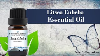 Litsea Cubeba Essential Oil [upl. by Oicinoid]