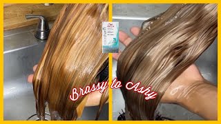 From Brassy to Ash Blonde  Which Wella Toner should I use Aquadiva [upl. by Virgy]