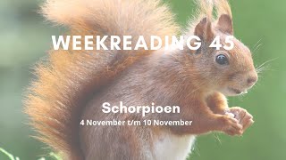 Weekreading 45 Schorpioen [upl. by Thaddus]