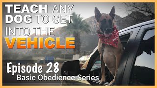 Teach ANY Dog to Get In and Out of the Vehicle on Command Episode 28 [upl. by Cinimod]