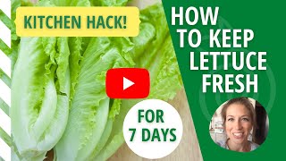 How to Keep Lettuce Fresh for 7 Days [upl. by Terrel246]