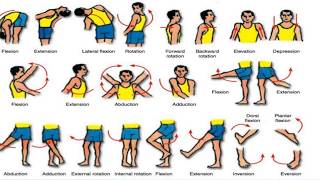 osteokinematics amp JOINT MOVEMENTS [upl. by Lauri]