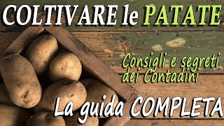 COLTIVARE le PATATE  Guida COMPLETA  CONSIGLI e SEGRETI per coltivare PATATE in ORTI e BALCONI [upl. by Einhapets]