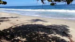 Blanchisseuse Beach Trinidad and Tobago [upl. by Naujid]