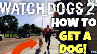 Watch Dogs 2 HOW TO GET A DOG Tutorial [upl. by Nimocks868]