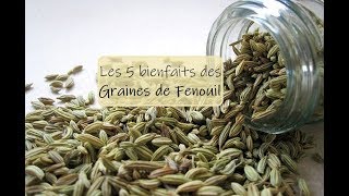 5 bienfaits des graines de Fenouil [upl. by Sorenson]