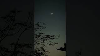 chand kab niklega delhi karwachauth chand [upl. by Amaras]