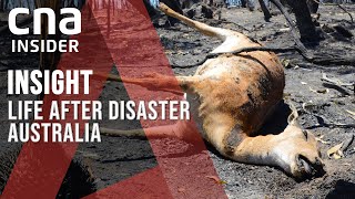 Australias Black Summer A Year On Can The Bushfires Stop Burning  Insight [upl. by Profant]