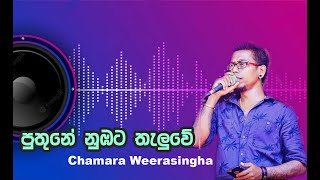 Puthune Nubata Thaluwe  Chamara Weerasinghe [upl. by Weig695]