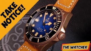 Incredible Bronze IXDAO Diver  Full Review  The Watcher [upl. by Rudwik]